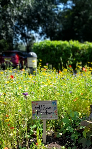 Blackpool Carers Centre